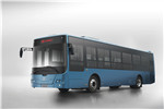 中车电动TEG6129BEV06公交车(纯电动10-38座)