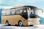 安凯HFF6781KD1E5B1客车(柴油国五10-23座)