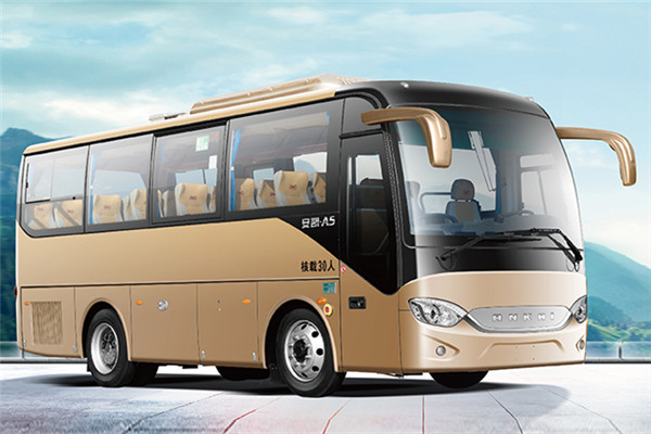 安凯HFF6781KDE5B客车(柴油国五24-32座)