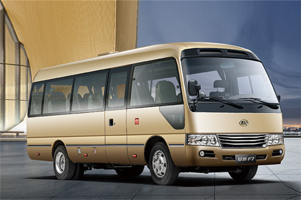 安凯HFF6606KDE5FB客车(柴油国五10-19座)