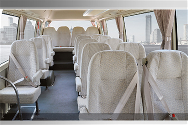 安凯HFF6606KDE5FB客车(柴油国五10-19座)