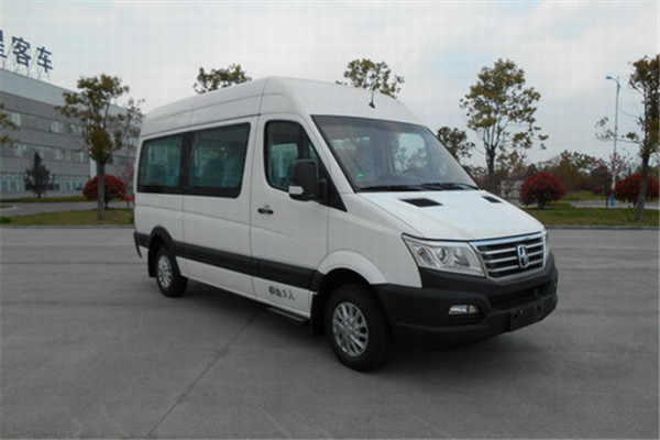 亚星YBL6591QEP客车(柴油国五4-9座)