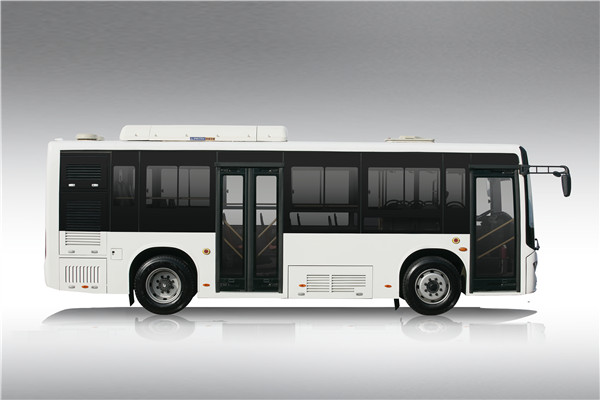 中车电动TEG6802BEV04公交车(纯电动14-29座)