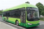 安凯HFF6120G03FCEV公交车(燃料电池20-39座)