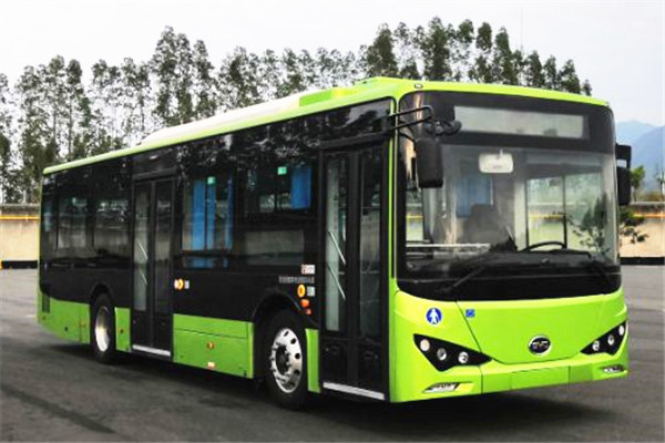 比亚迪BYD6101LGEV8公交车(纯电动20-39座)