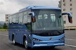 比亚迪BYD6811HZEV公交车(纯电动16-34座)