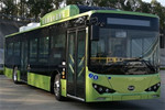 比亚迪BYD6122LGEV1低入口公交车(纯电动23-45座)
