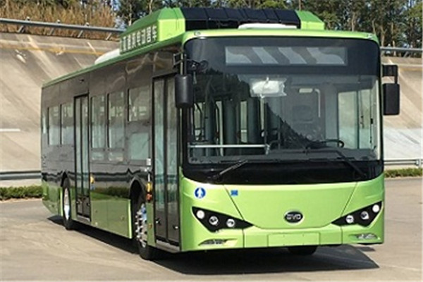 比亚迪BYD6122LGEV2低入口公交车(纯电动23-44座)