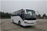 海格KLQ6902KAC61客车(天然气国六24-40座)
