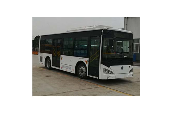 申龙SLK6859UBEVW5公交车(纯电动14-29座)