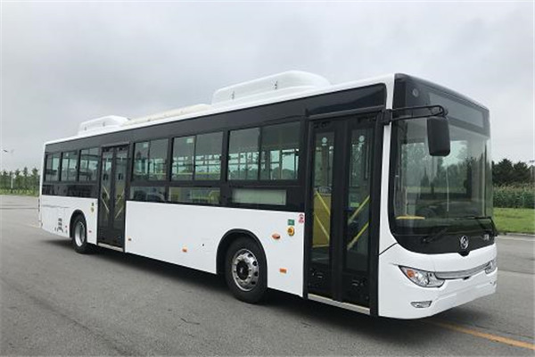 黄海DD6129EV20公交车(纯电动24-46座)