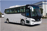 南京金龙NJL6802BEVG公交车(纯电动24-34座)