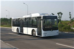中车电动TEG6129BEV08公交车(纯电动20-38座)