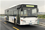 南京金龙NJL6100EV12公交车(纯电动19-37座)