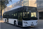 福田欧辉BJ6123EVCA-52公交车(纯电动22-46座)