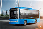 安凯HFF6600GEV2公交车(纯电动10-17座)