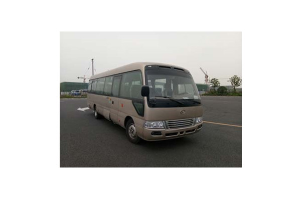 友谊ZGT6830LBEV1客车(纯电动10-23座)