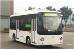 友谊ZGT6669LBEV公交车(纯电动13-19座)