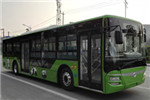蜀都CDK6126CBEV1公交车(纯电动22-45座)