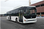 远程DNC6120BEVG3低入口公交车(纯电动21-46座)