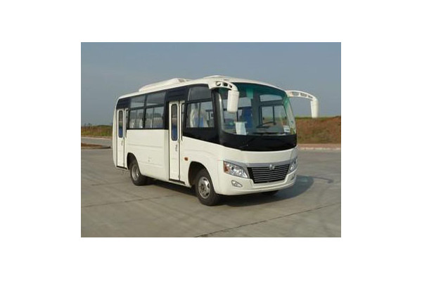 东风旅行车DFA6600KJN5A公交车(天然气国五10-17座)