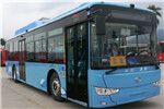 金龙XMQ6127AGBEVL10公交车(纯电动21-46座)