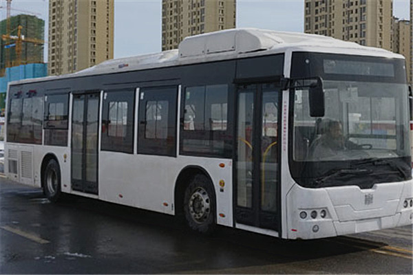 中车电动TEG6129BEV11公交车(纯电动23-44座)