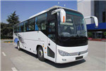 宇通ZK6119H6Y1客车(柴油国六24-50座)