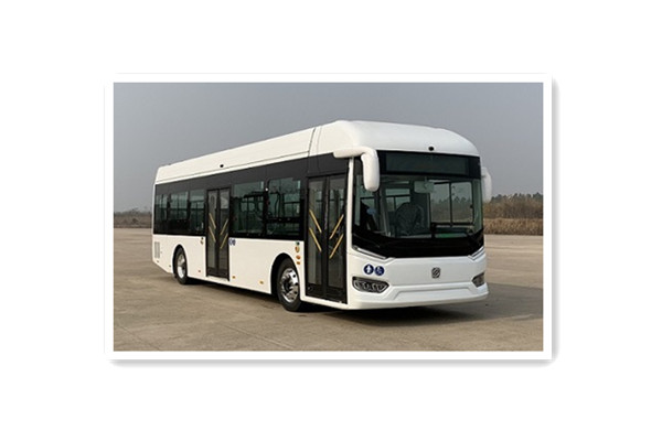 申沃SWB6109BEV67G低地板公交车(纯电动20-38座)