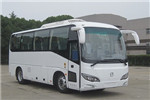 申沃SWB6802BEV24客车(纯电动24-32座)