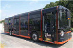 扬子江WG6110BEVHR10公交车(纯电动24-35座)