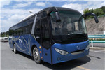 奇瑞万达WD6109BEV1客车(纯电动24-48座)