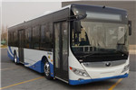 宇通ZK6125BEVG59公交车(纯电动25-46座)
