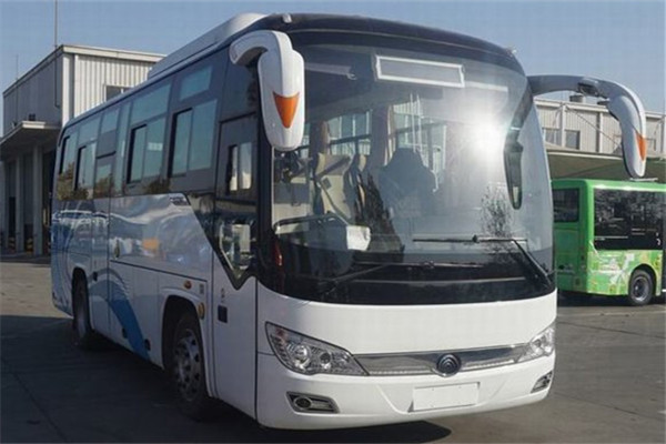 宇通ZK6826BEVG12A公交车(纯电动16-34座)