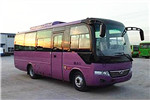 少林SLG6780C5E客车(柴油国五24-32座)