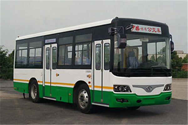 少林SLG6829EVG公交车(纯电动15-31座)