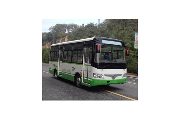 少林SLG6660EVG7公交车(纯电动10-22座)