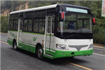少林SLG6660EVG3公交车(纯电动10-22座)