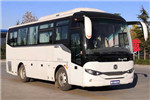 中通LCK6826H6A1客车(柴油国六24-36座)