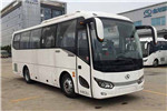 金龙XMQ6879AYD5D客车(柴油国五24-38座)