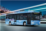 金龙XMQ6106AGBEVL9公交车(纯电动19-40座)