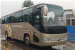 宇通ZK6119BEVQY18P1客车(纯电动24-50座)