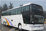 宇通ZK6146H75YY1客车(柴油国五25-56座)