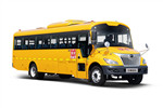 宇通ZK6995DX61中小学生专用校车(柴油国六24-49座)