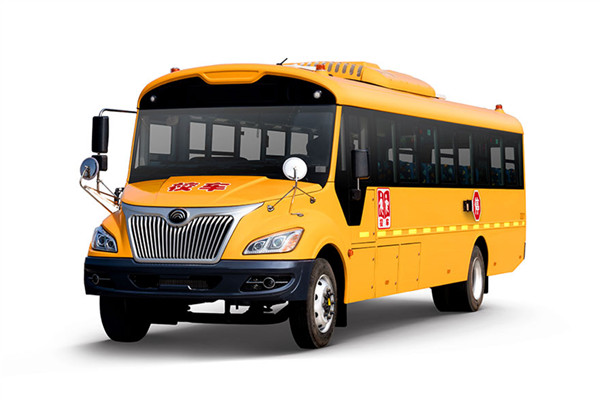 宇通ZK6995DX51中小学生专用校车(柴油国五24-49座)