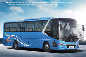中通世轩LCK6125客车