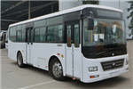 宇通ZK6902NG5公交车(天然气国五10-36座)
