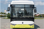 亚星JS6128GHBEV15公交车(纯电动21-42座)