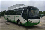 武汉WH6100BEV客车(纯电动24-61座)