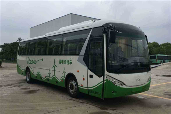 武汉WH6100BEV客车(纯电动24-61座)